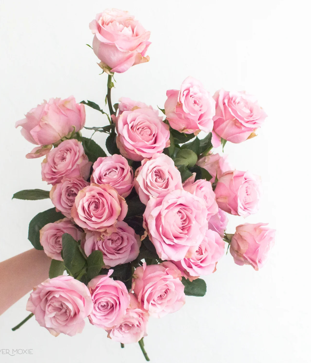 Pink Sweet for Love Rose