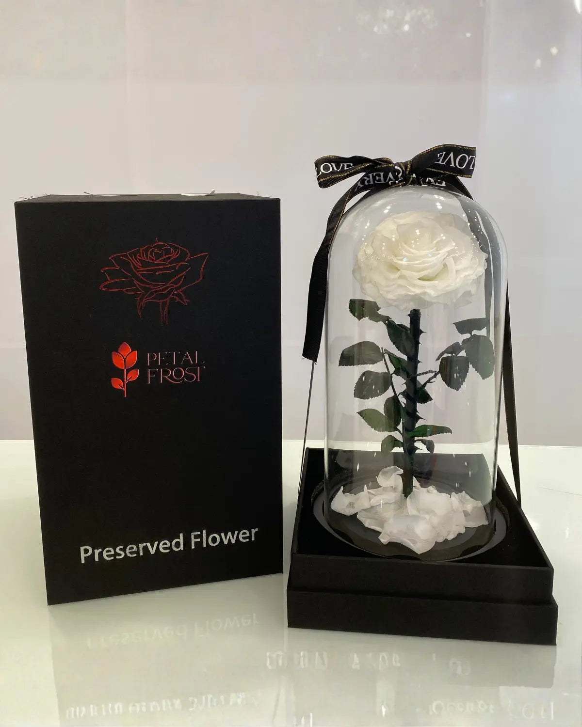 White rose in a glass dome in dubai flower shop near me