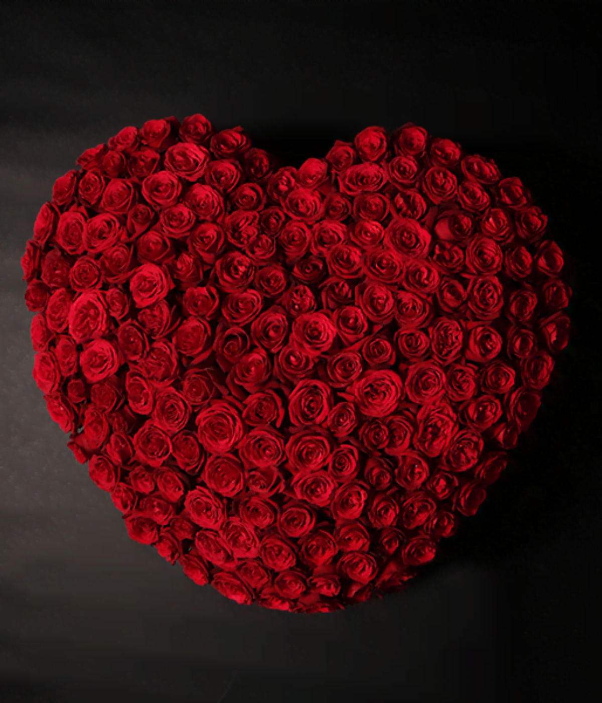 Roses of Love
