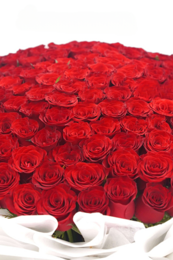 101 Premium Red Roses