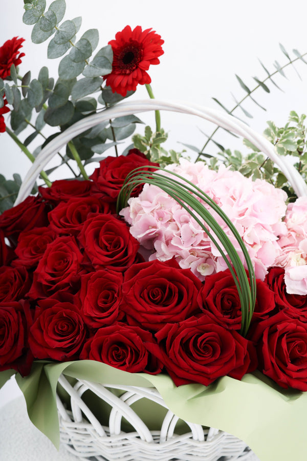 Royal Crimson Delight