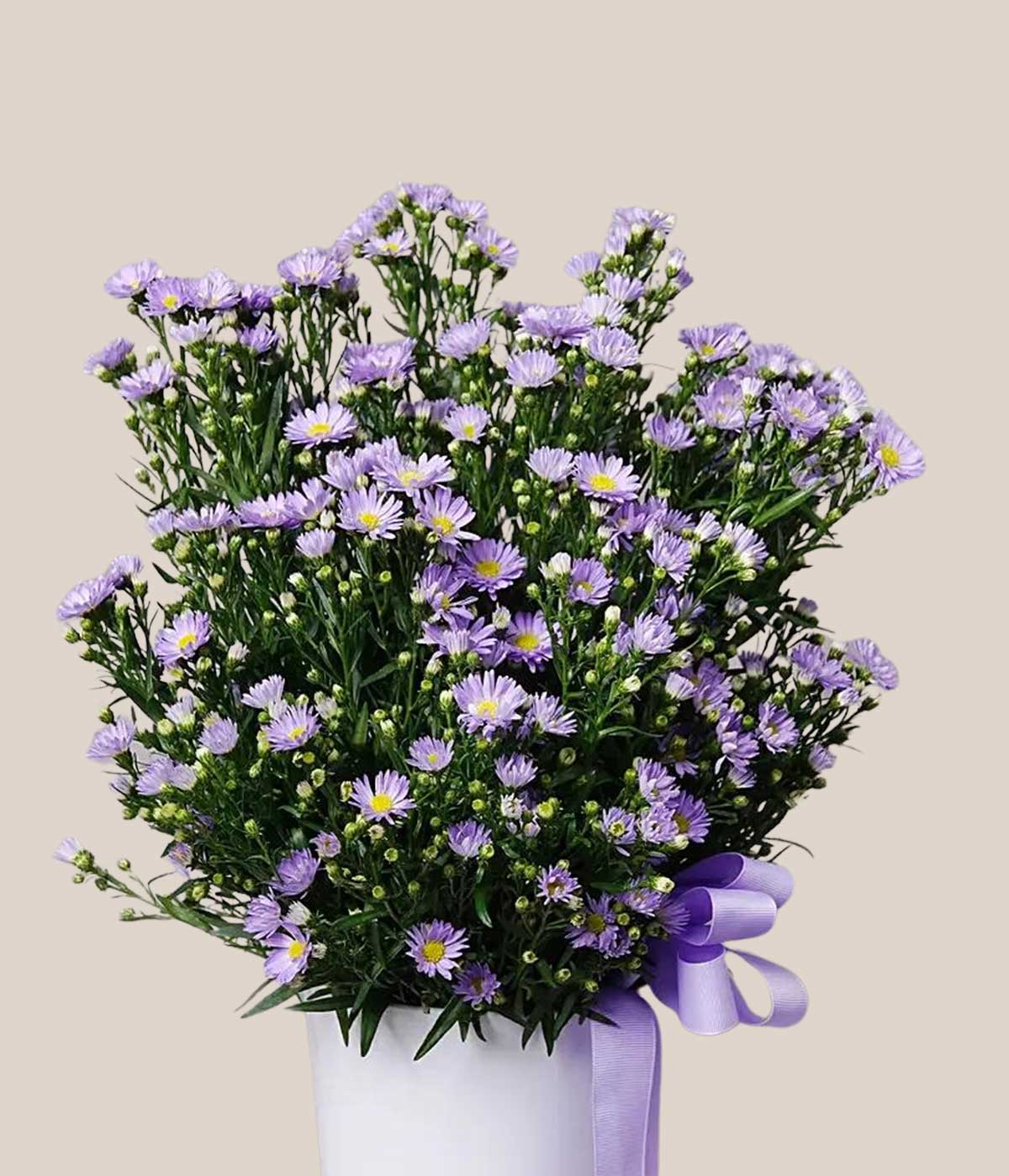 Aster Flower and Cake Combo