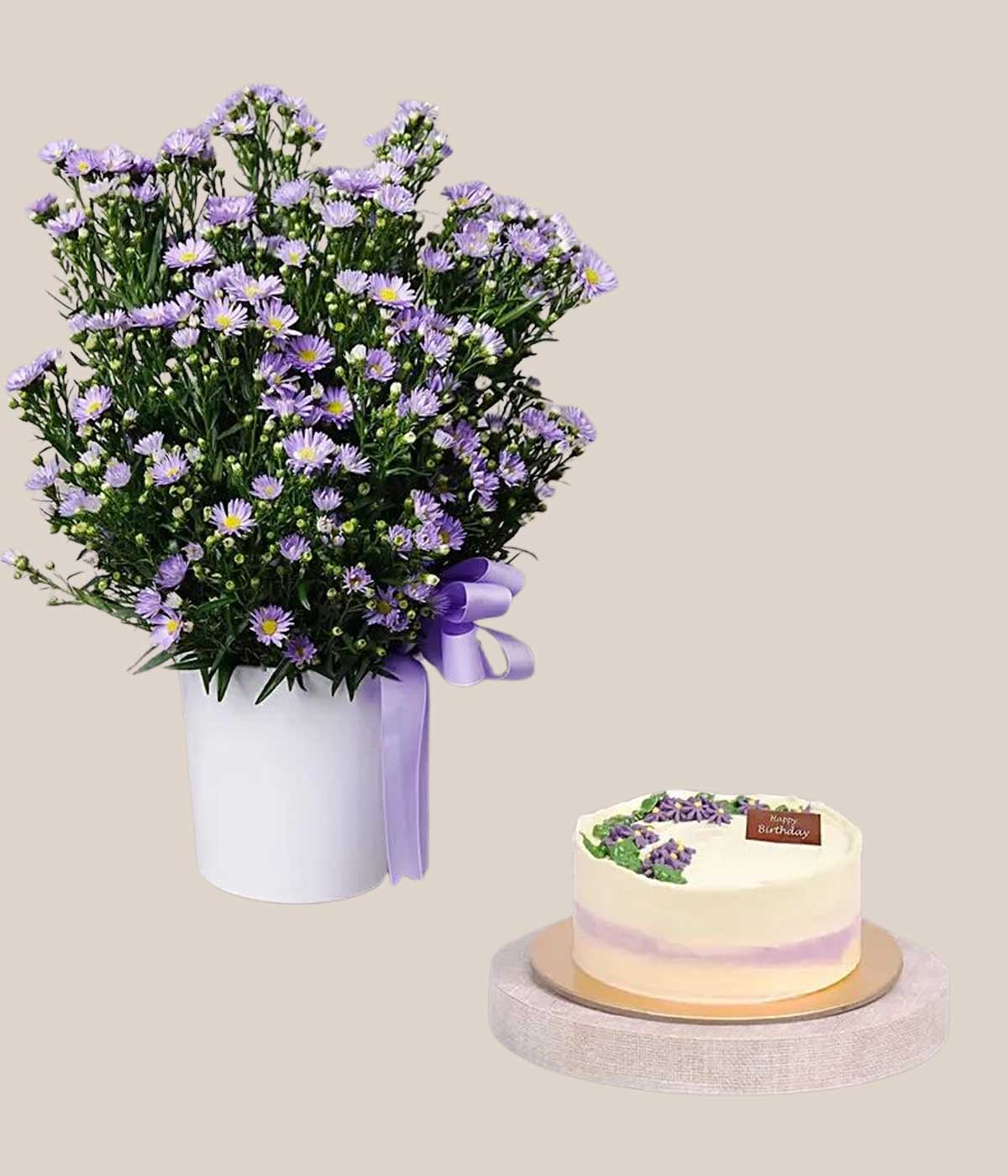 Aster Flower and Cake Combo