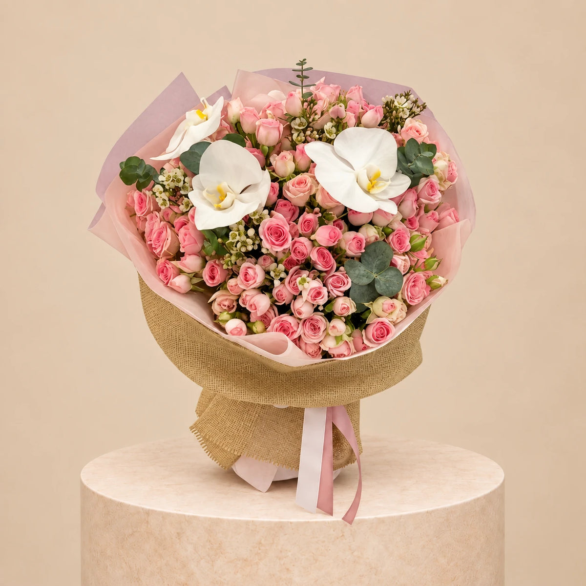 Blush Elegance 50 (WebP Optimized)