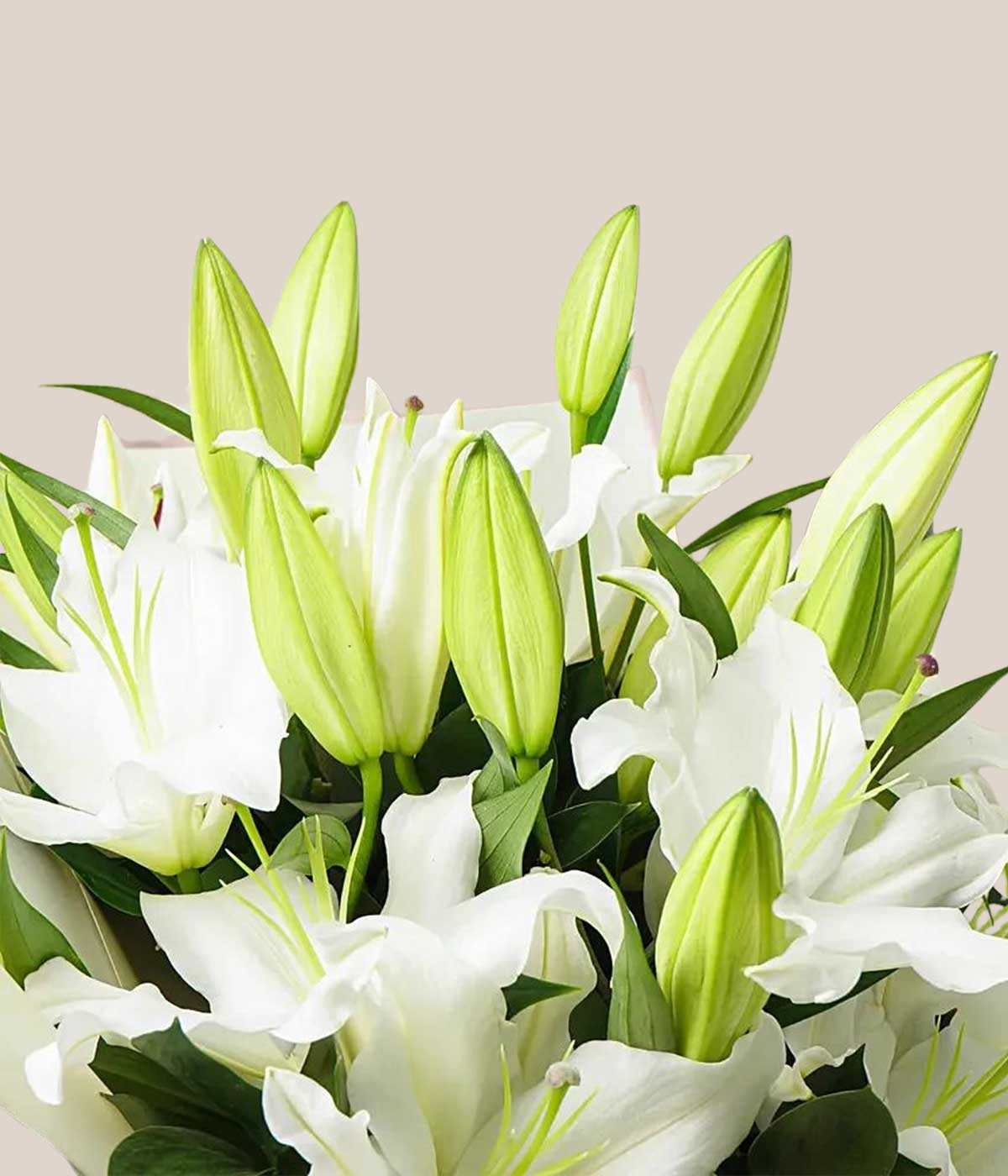 Charming White Lilies Bouquet Standard