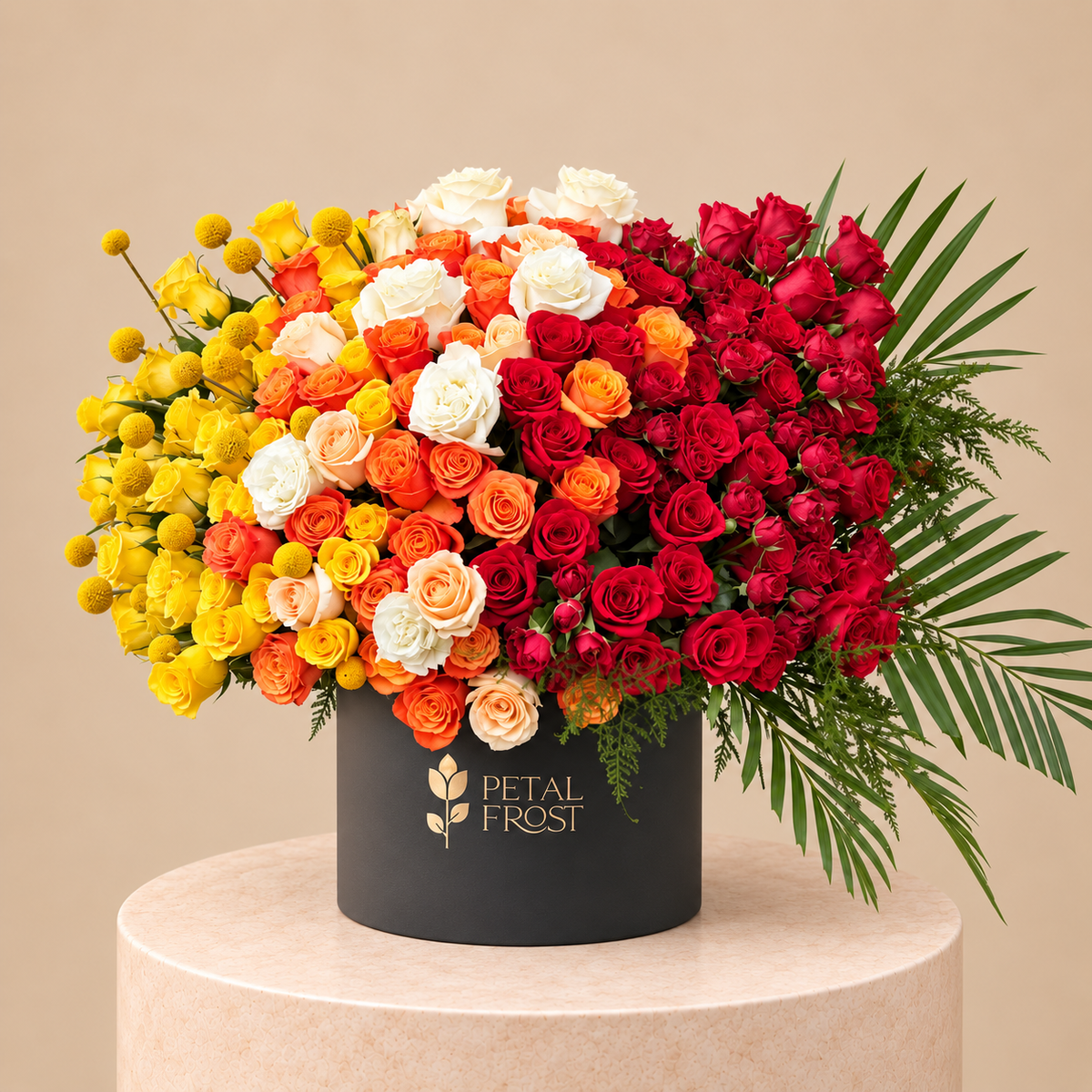 Rainbow Rose Luxe