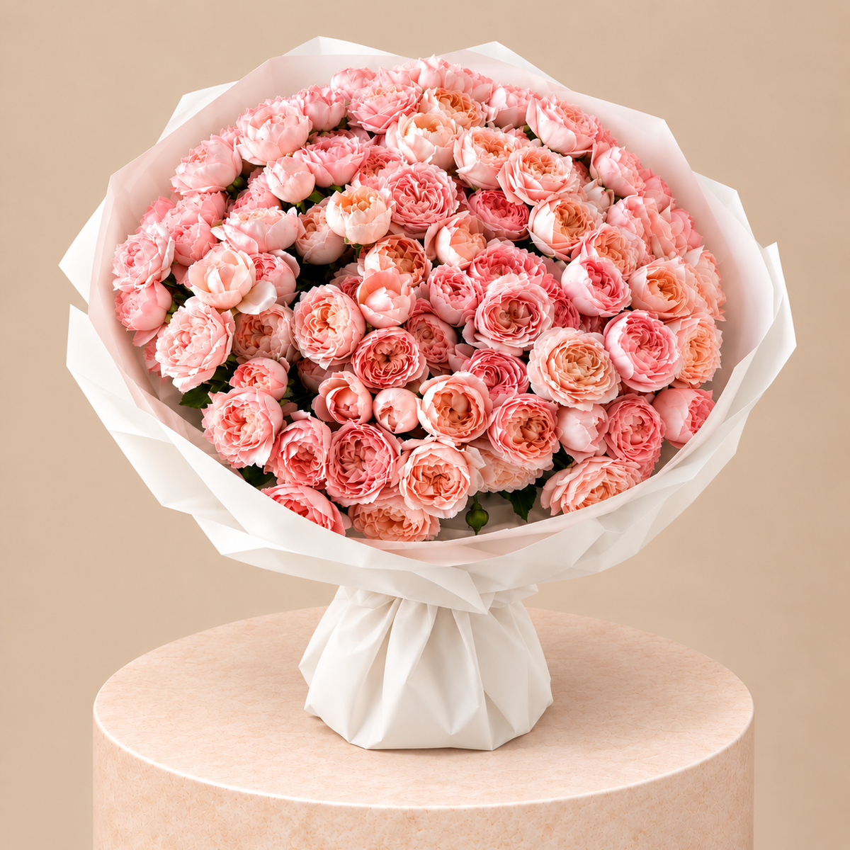 Rosy Daydream