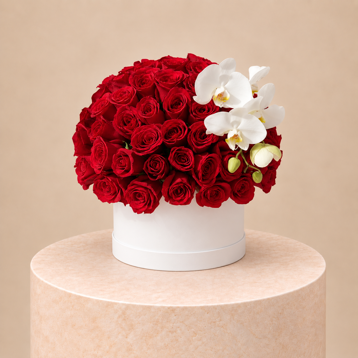 Red Velvet Orchid