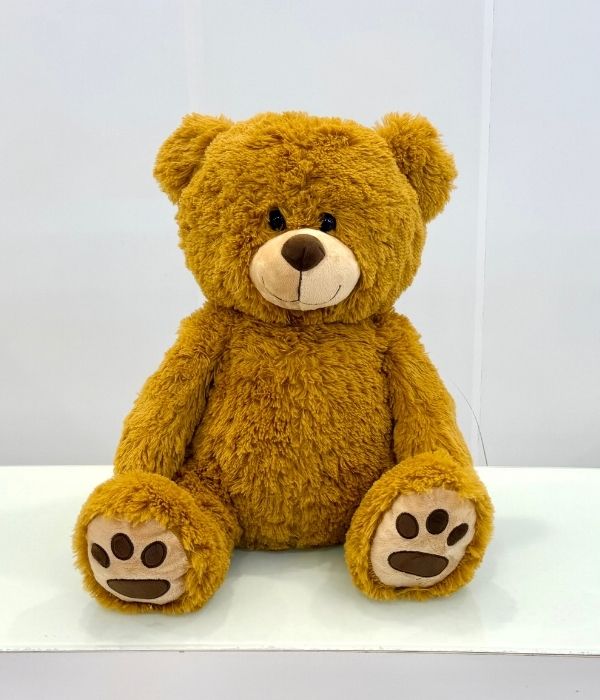 Dreamy Cuddle Teddy Bear