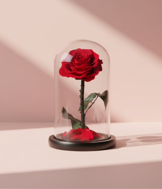 Forever Red Rose (S)