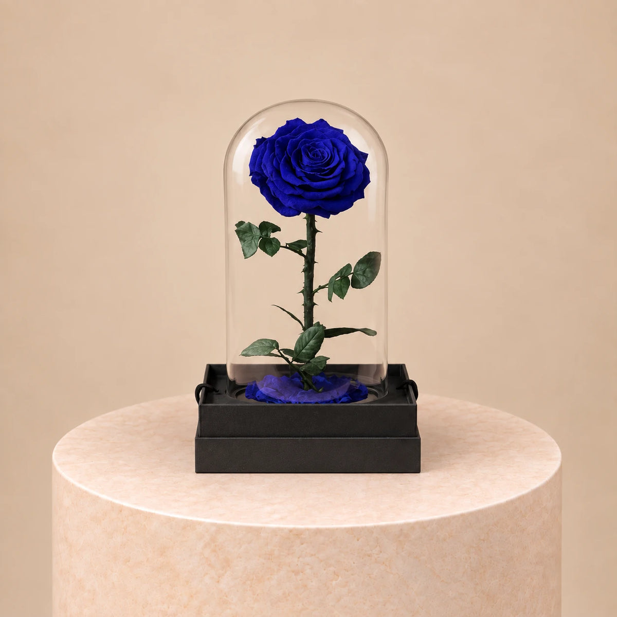 Forever Blue Rose (L) (WebP Optimized)