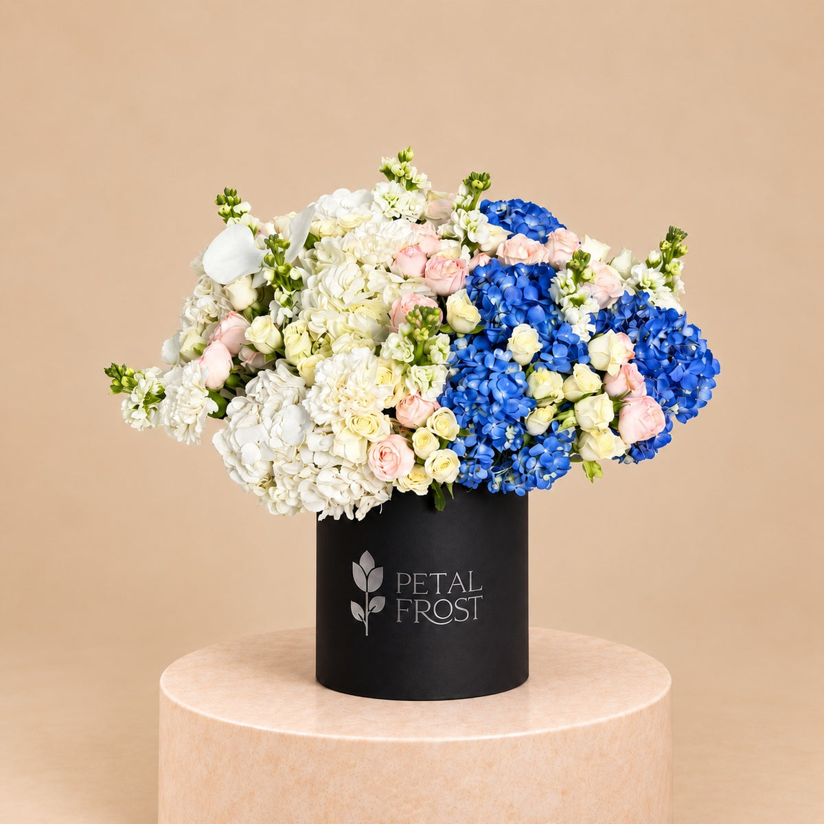 Bluebell Pastel Garden Box