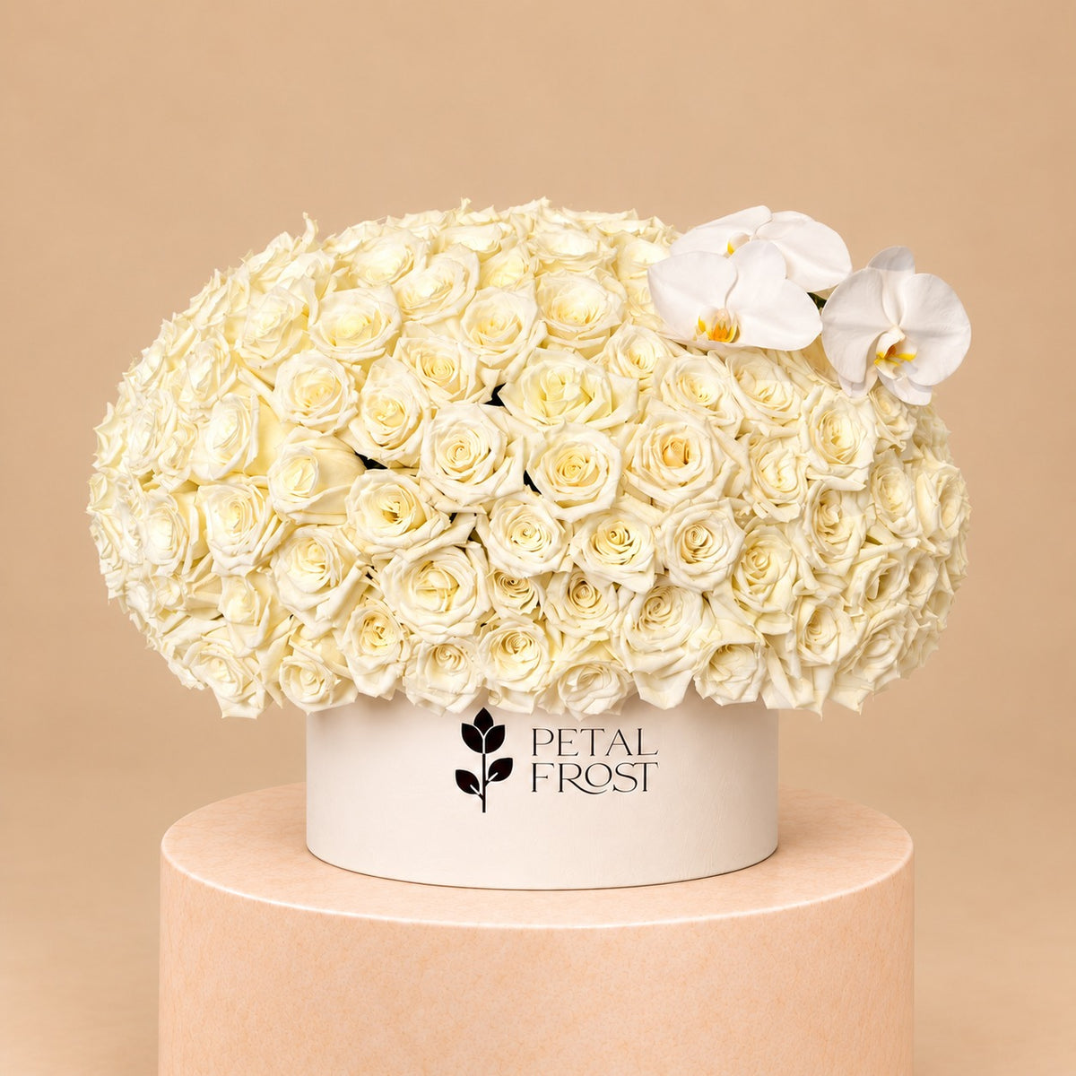 Ivory Orchid Luxe