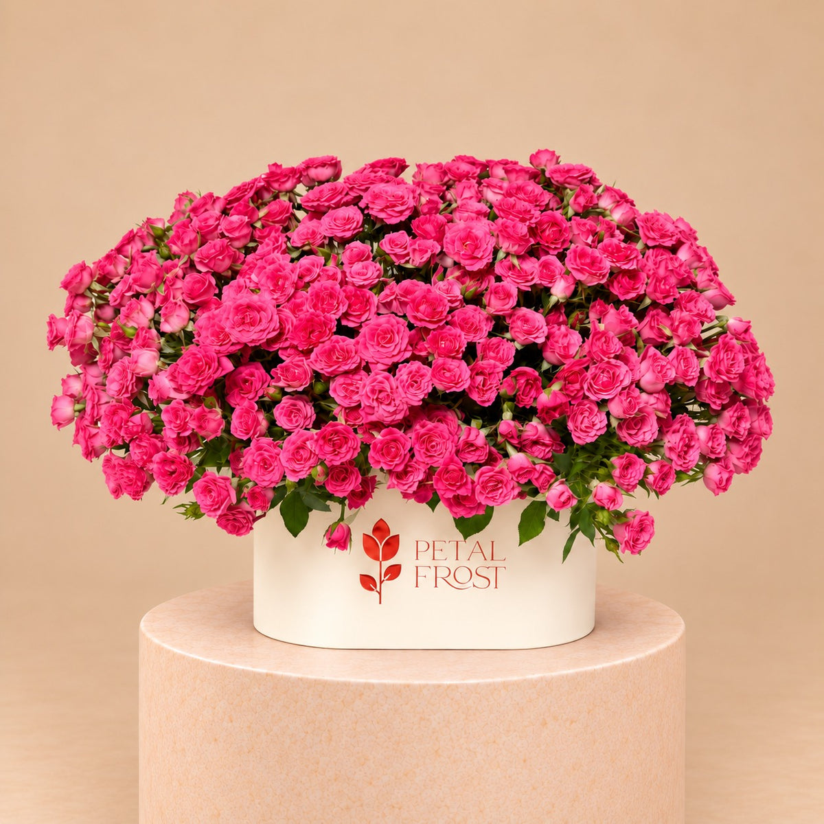 Fuchsia Royale Box