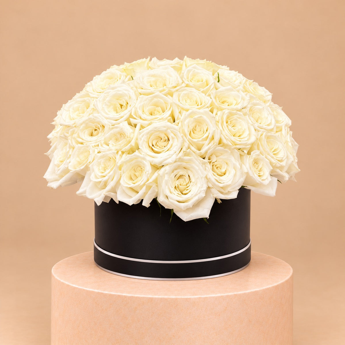 Midnight Ivory