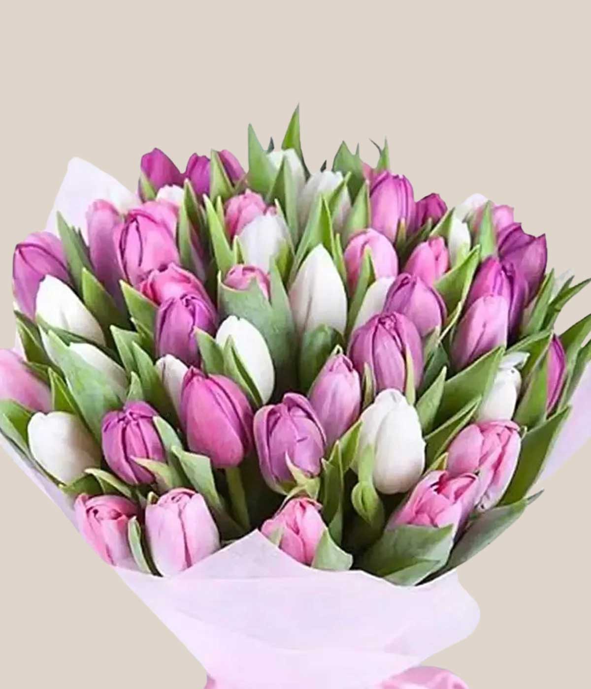 Pink White Tulips Bunch Standard