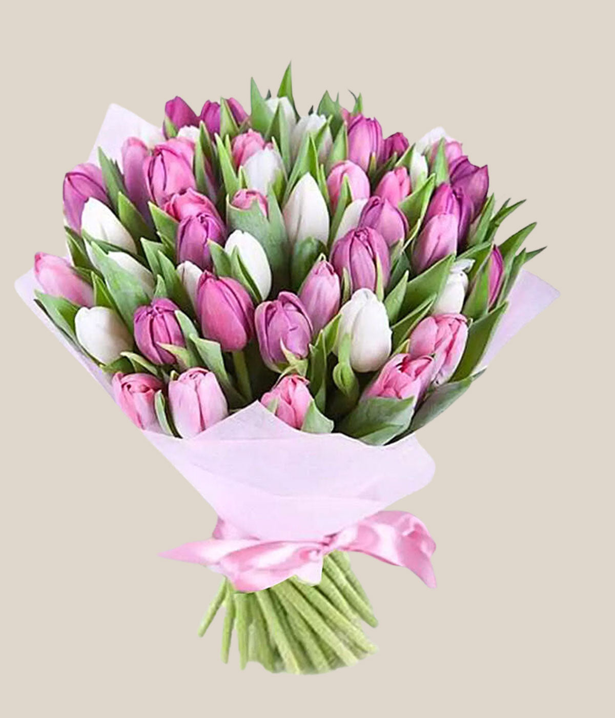 Pink White Tulips Bunch Standard