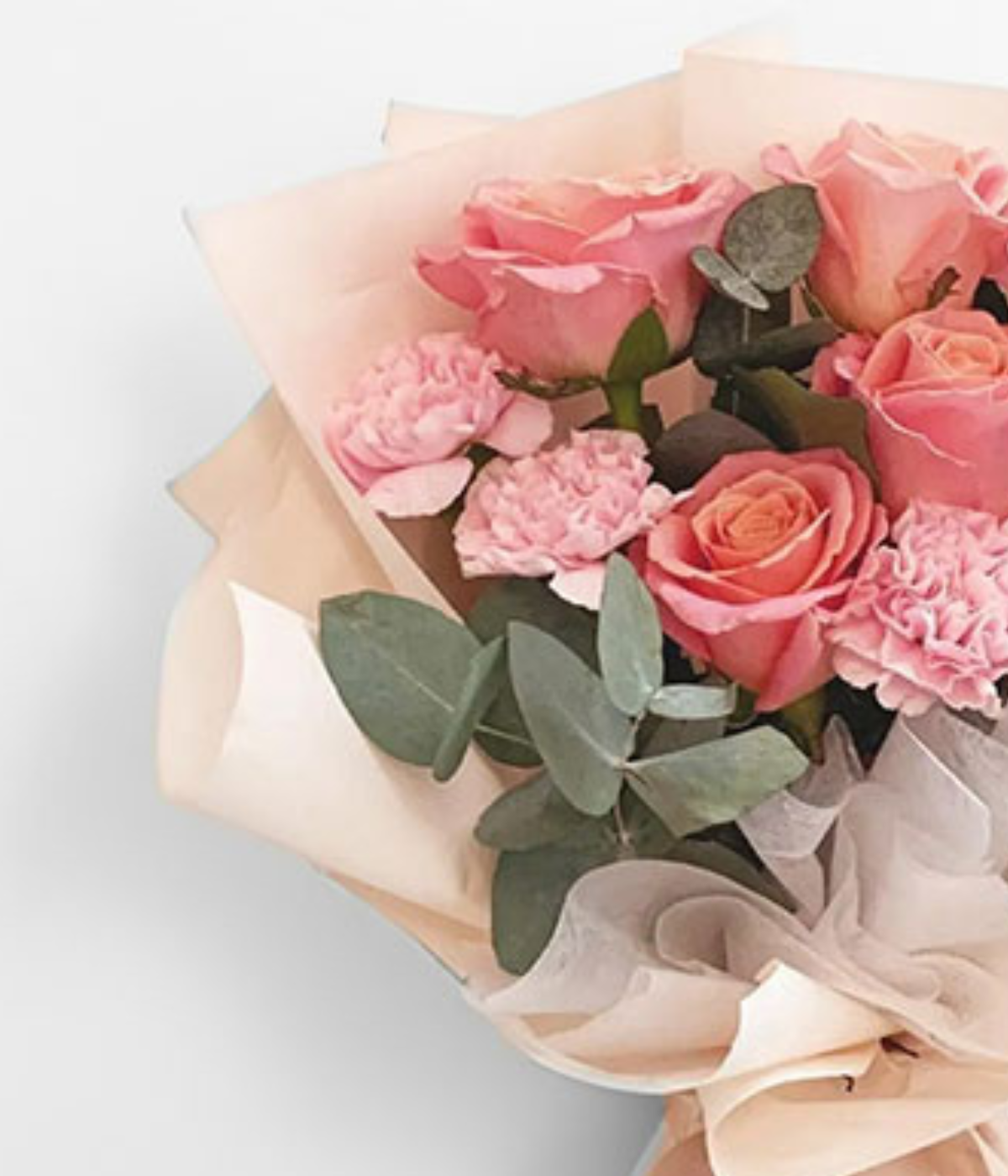 Pink Bloom Medley