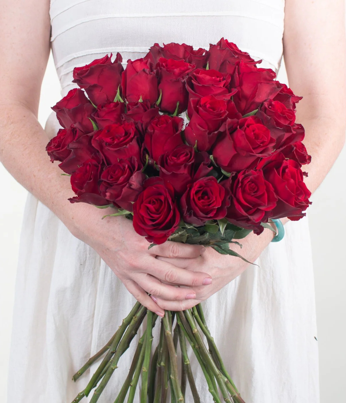 Red Explorer Roses