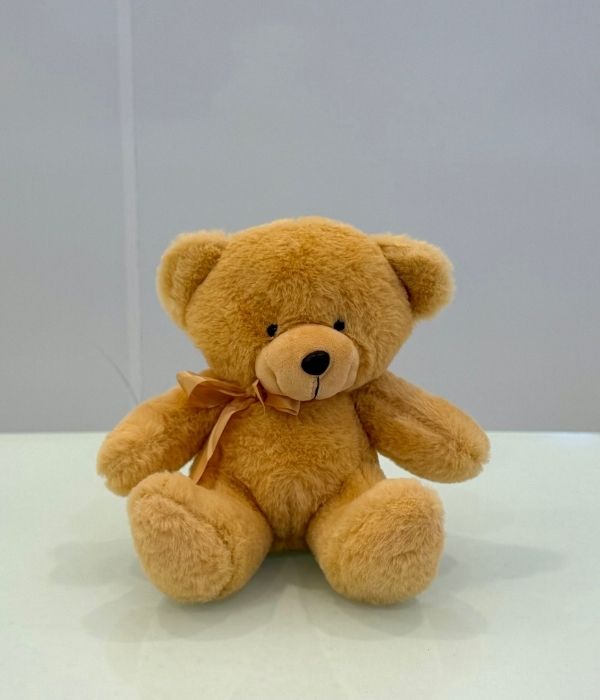 Small Brown Teddy Bear