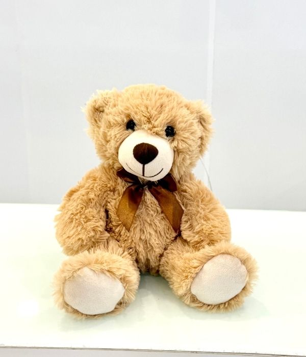 Soft Teddy Bear For Her