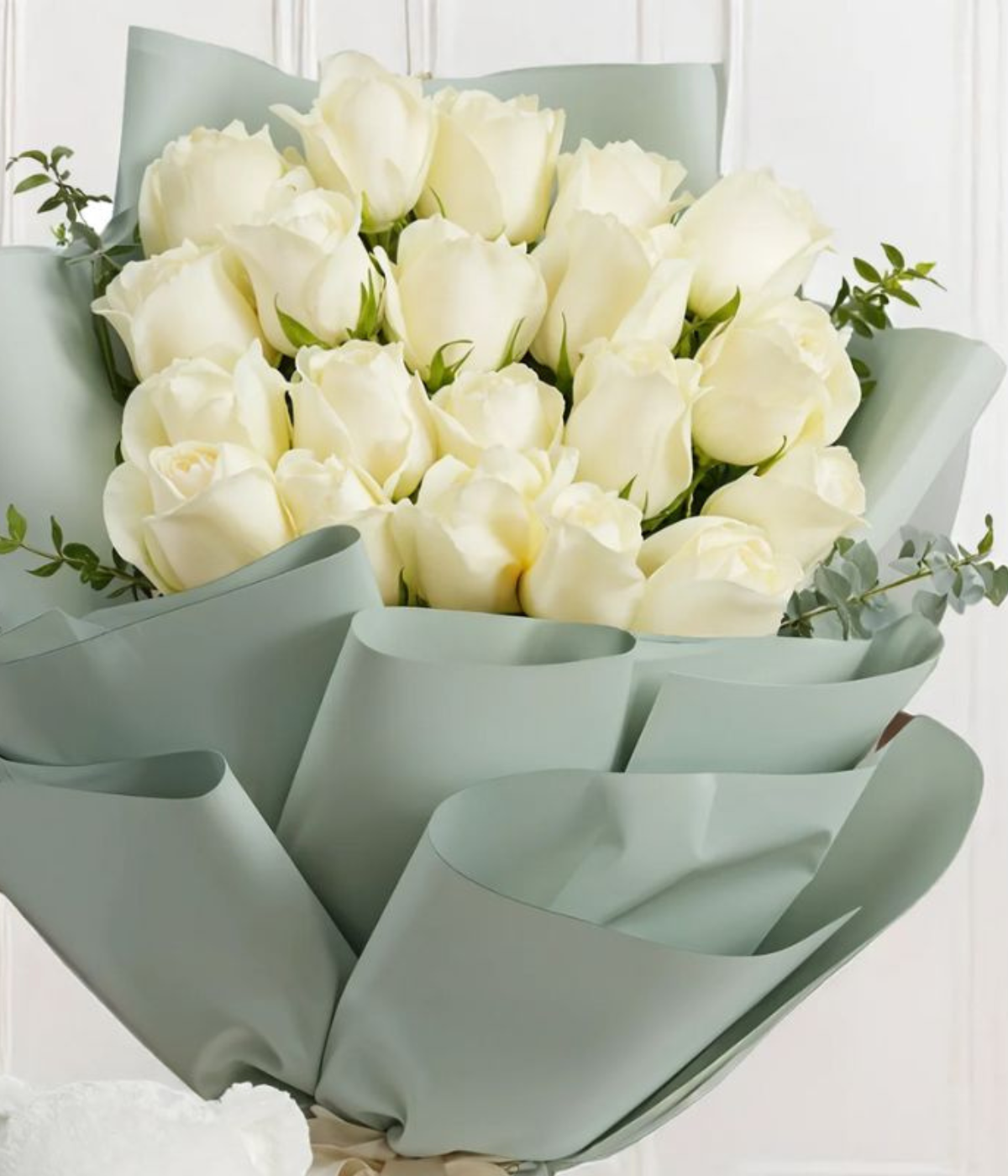 Teddy & Blooms Harmony