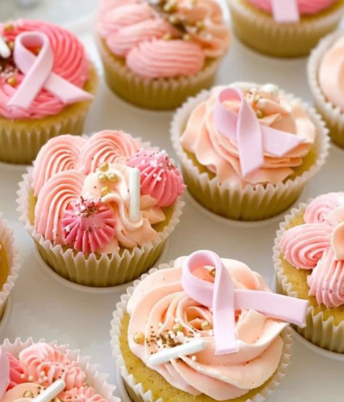 Breast Cancer Pink Ribbon Chocolate Cupcakes