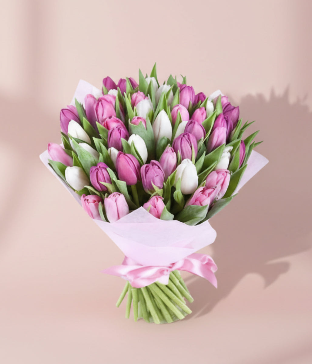 Velvet Tulips