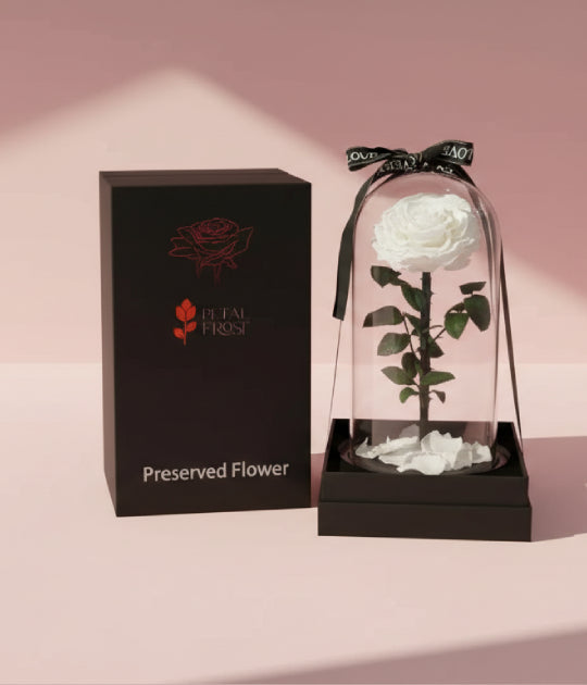 Forever White Rose (L)