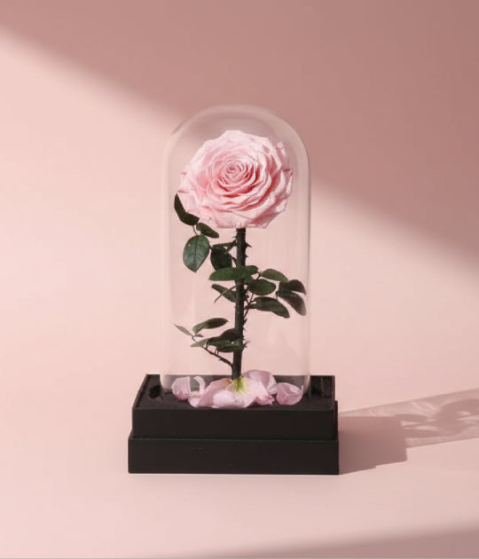 Forever Pink Rose (S)