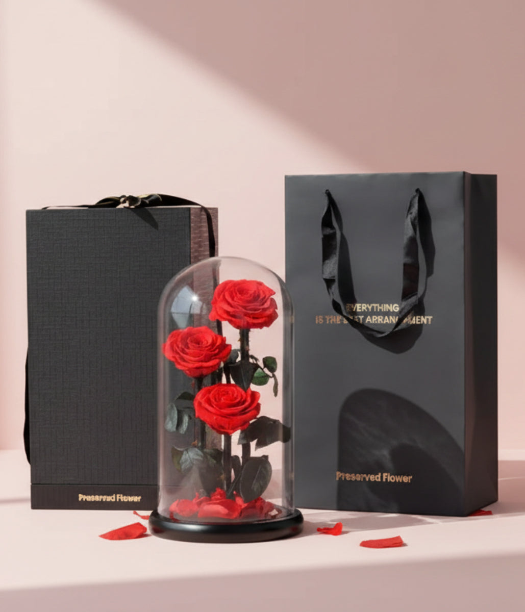 3 Preserved Red Rose