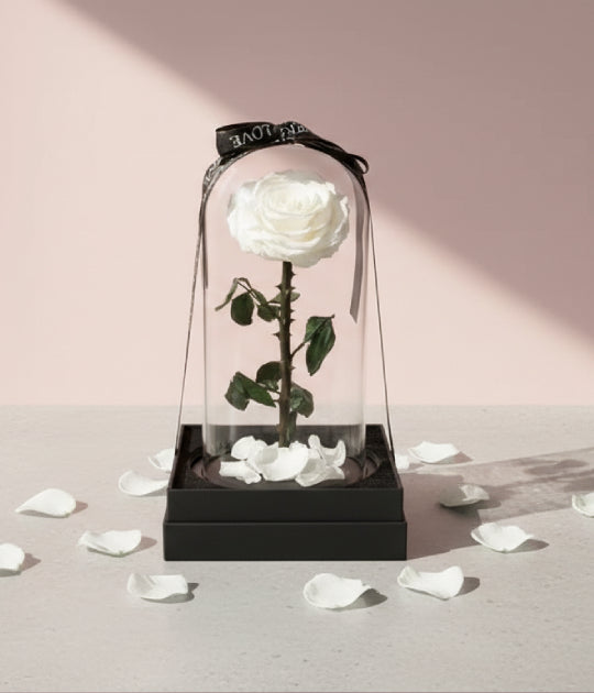 Forever White Rose (L)