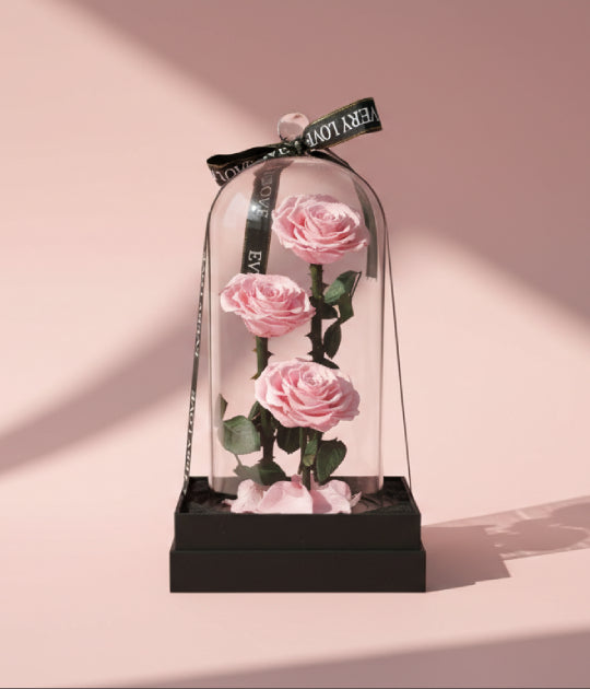 3 Preserved Pink Rose