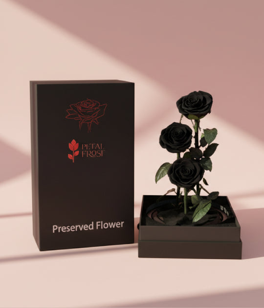 3 Preserved Black Rose