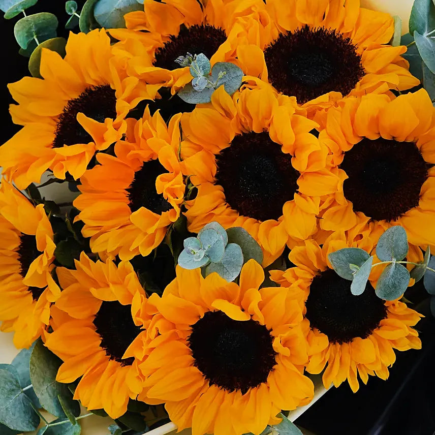 Charismatic Sunflowers Beautifully Tied Bouquet