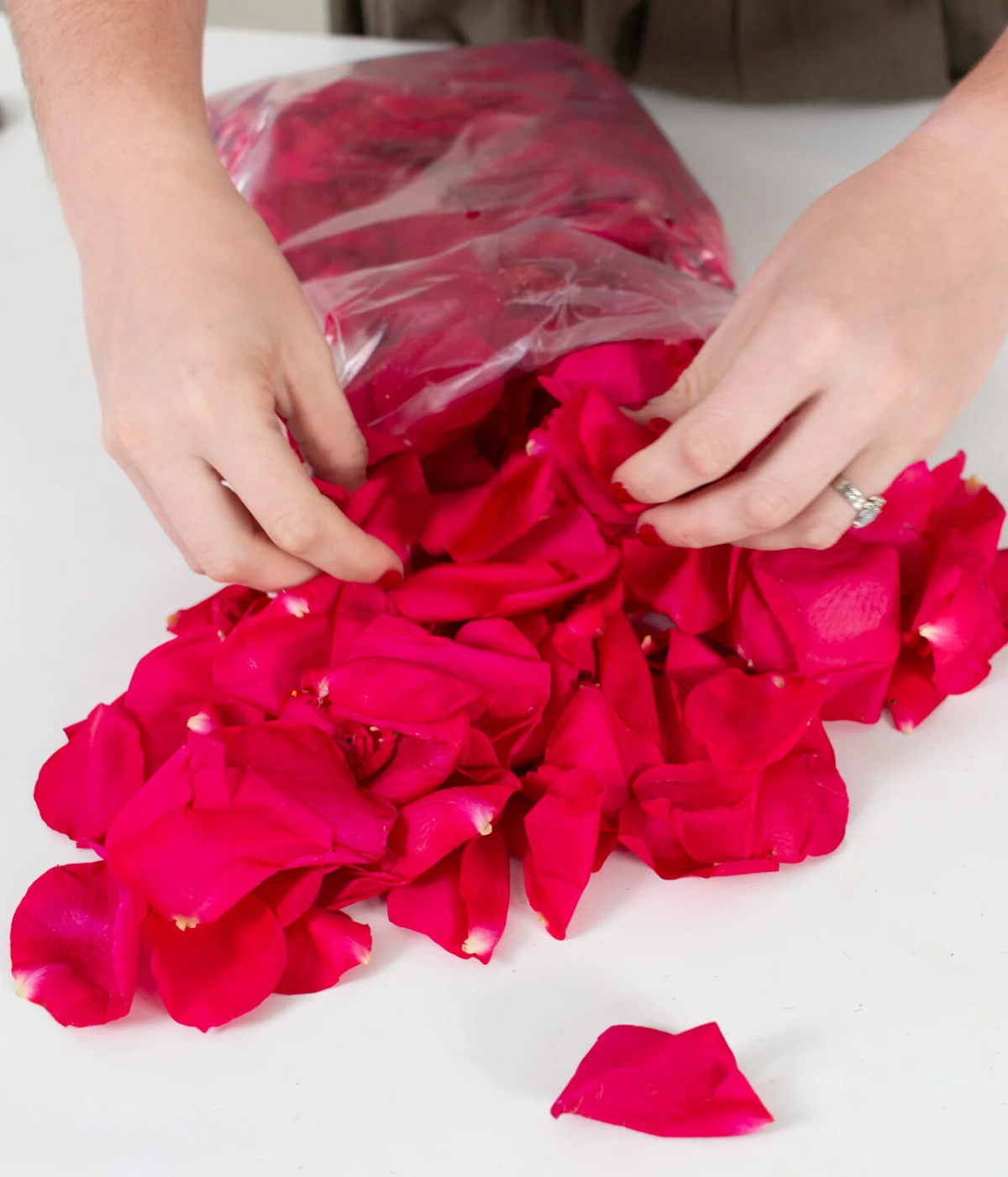 Deep Pink Rose Petals