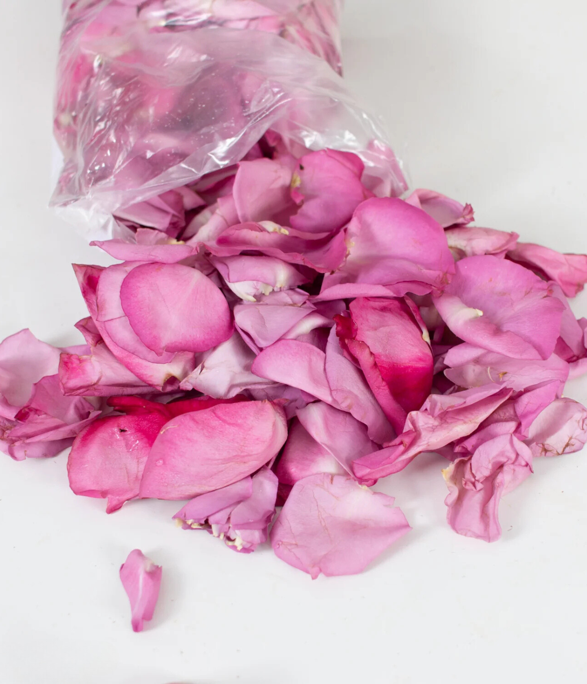 Lavender Rose Petals