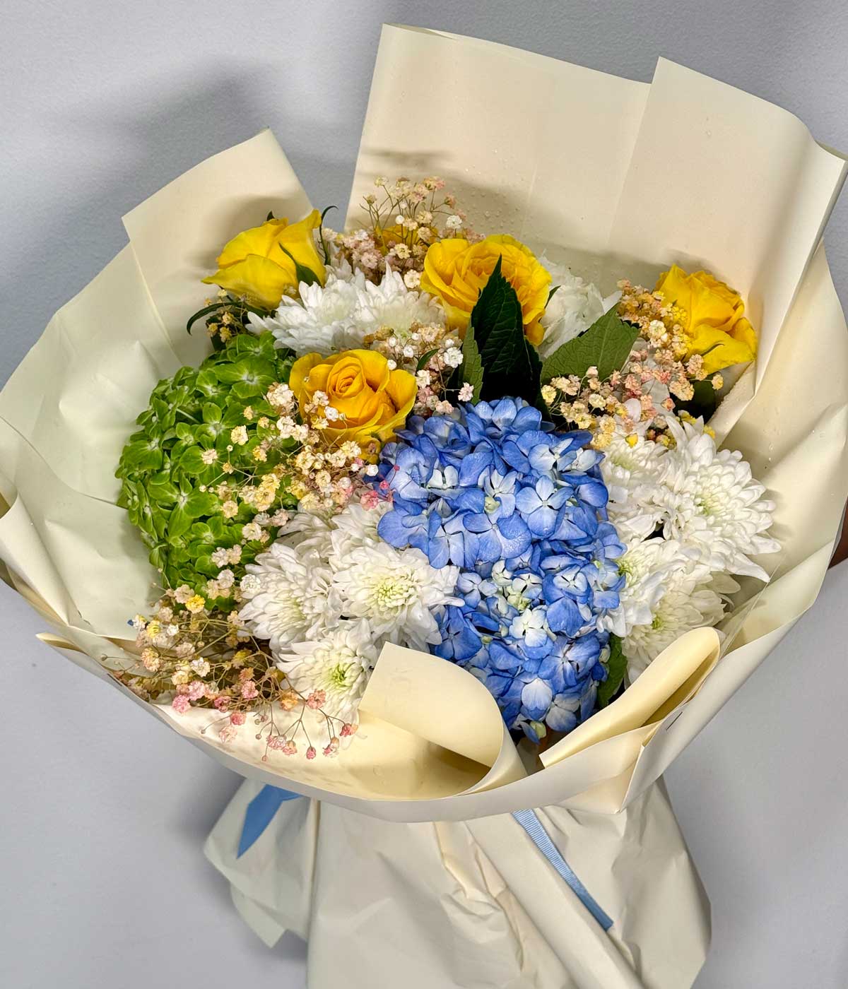 Mix Hydrangea