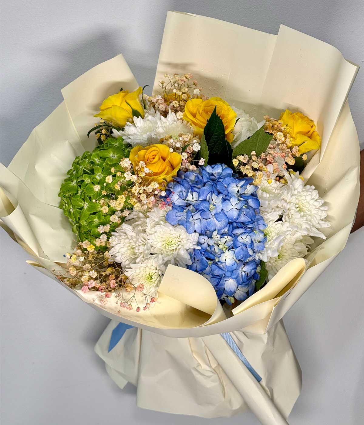 Mix Hydrangea