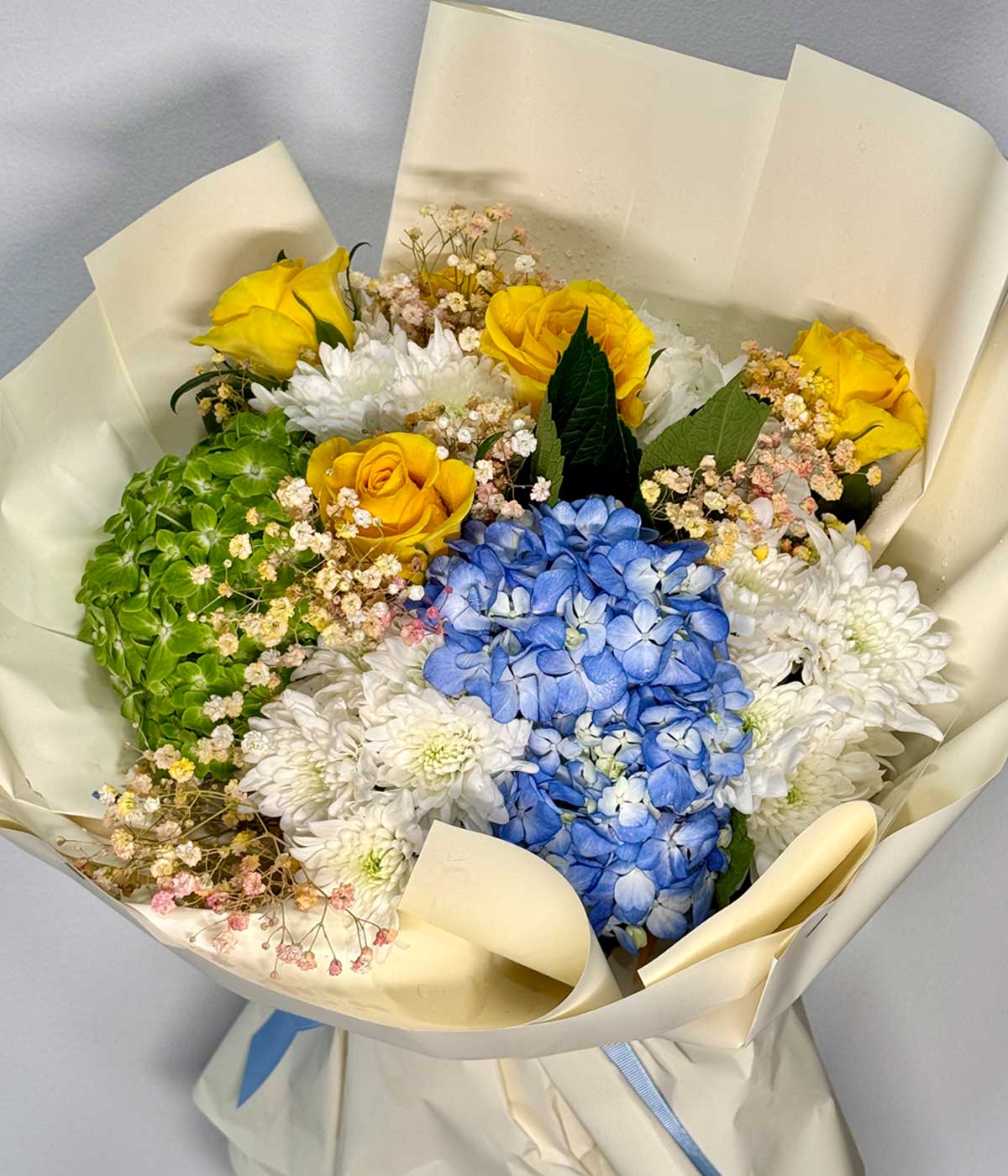 Mix Hydrangea