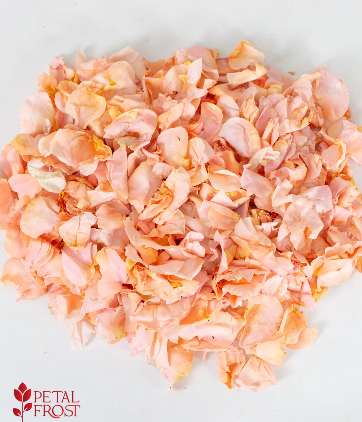 Peach Rose Petals