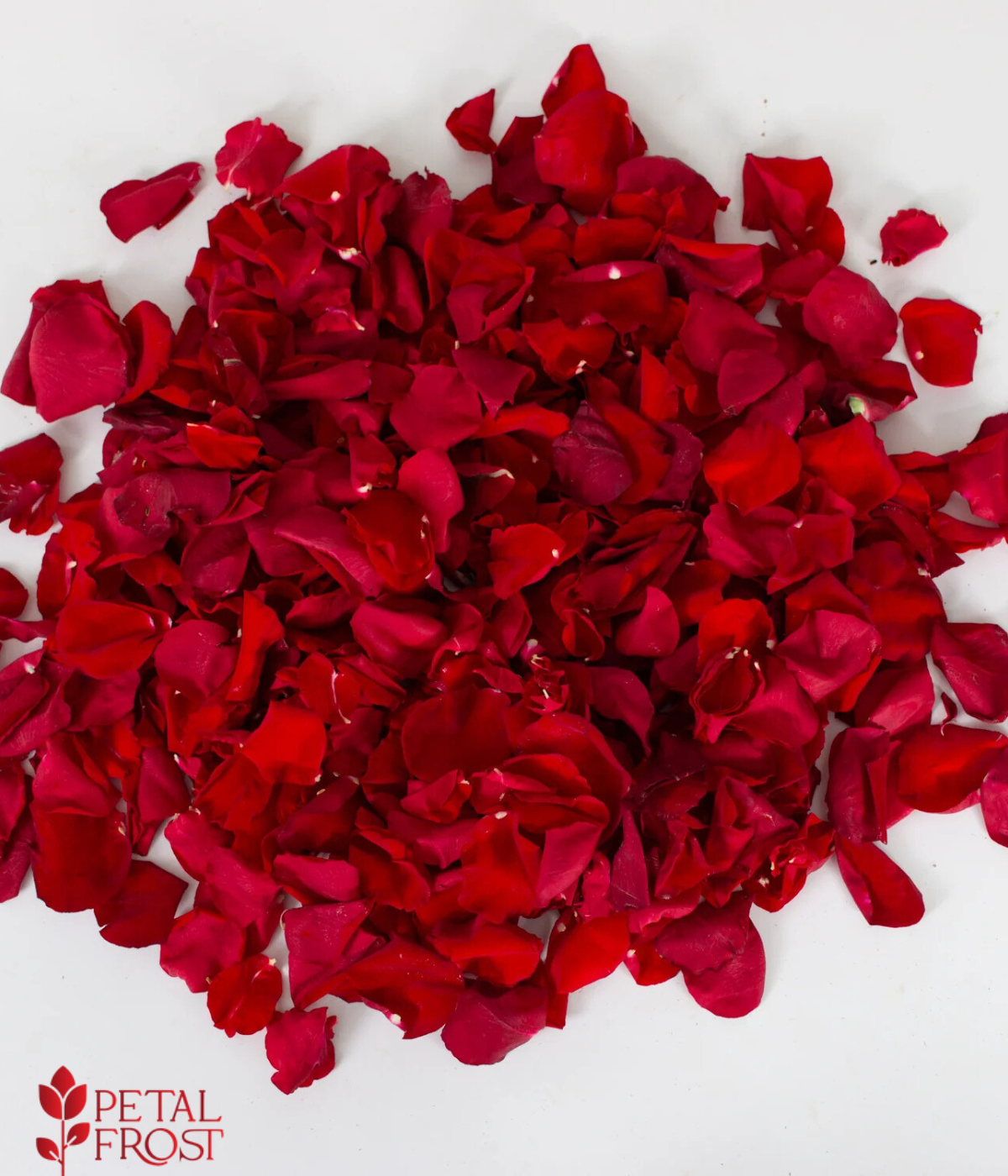 Red Rose Petals