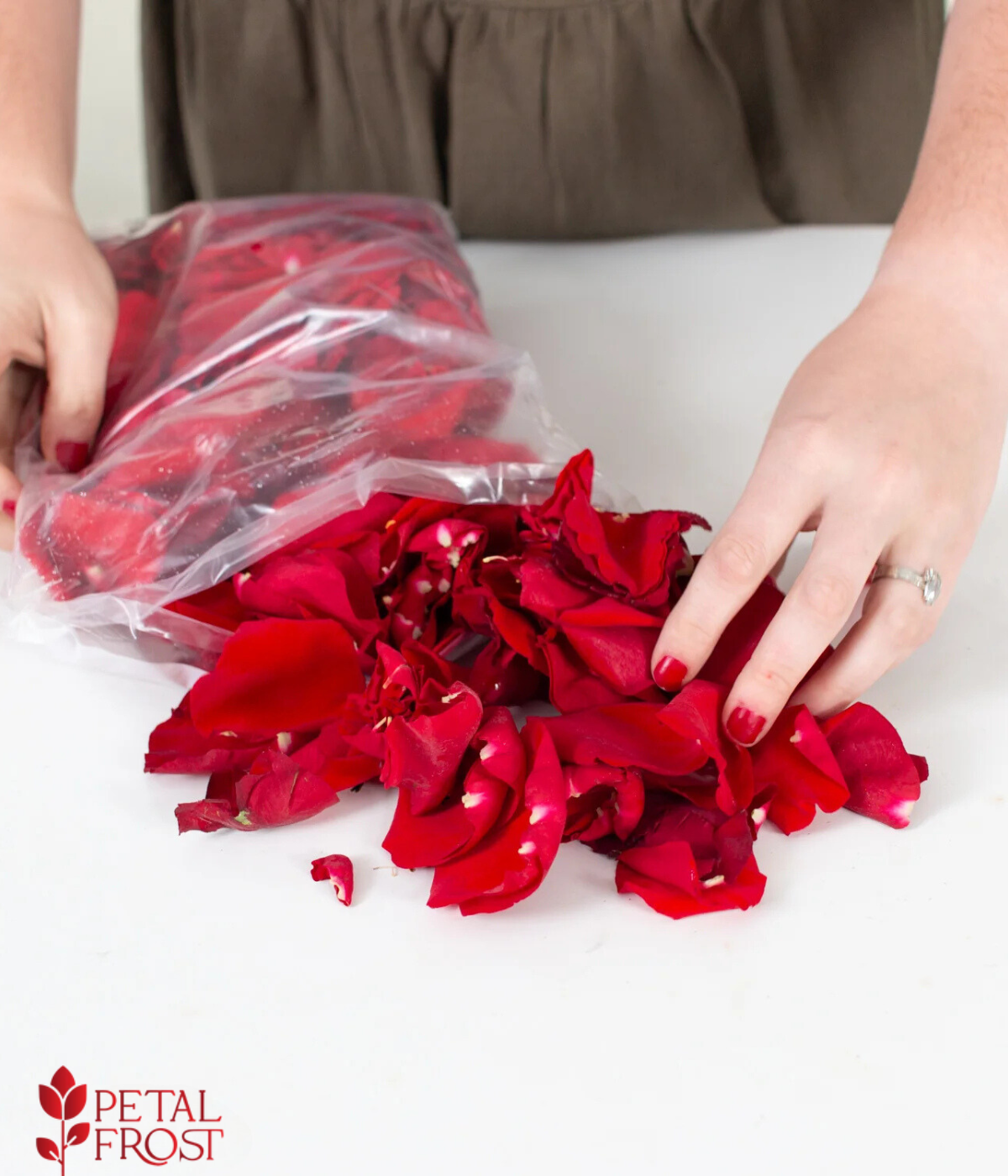 Red Rose Petals