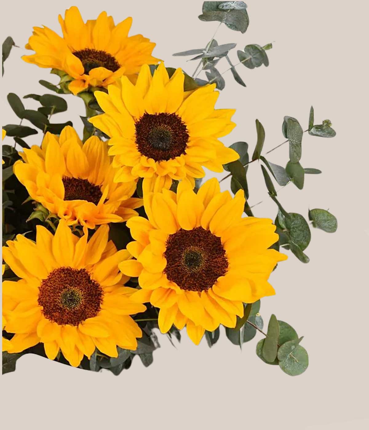 Sunflowers Pop Bouquet